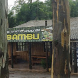 Bambu Extérieur