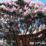 Sabores Do Oriente Exterior