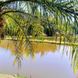 Pesqueiro Guarantã Exterior
