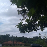 Pesqueiro Guarantã Exterior