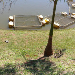 Pesqueiro Guarantã Exterior