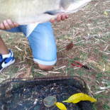 Pesqueiro Guarantã Bebida