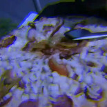 Pizzaria Do Leo Nourriture