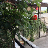 Quintal Exterior