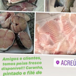 Pesque E Pague Buritis Gourou