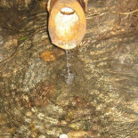 Purpuris Forneria Boisson