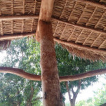 Manchas Extérieur