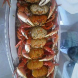 Encontros Comida