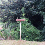 Pé Da Roça Extérieur