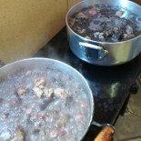 Do Tonho Comida