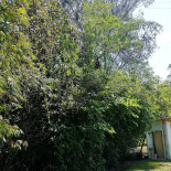 Pesqueiro Canecão Exterior