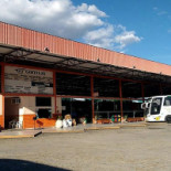 Merlo E Leão