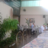Samambaia Extérieur
