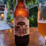 Cogumelo Bistrô Boisson