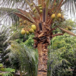 Espaco Aberto Exterior