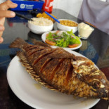 Bar E Restaurante Galego Do Peixe Comida