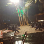 Biliscando Peixe Na Tábua Boisson