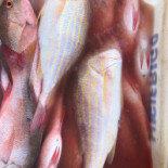 Barraca Chalés Da Boneca Boisson