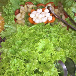 Alpha Gourmet Comida