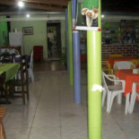 Lú Açaí Extérieur