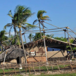 Pininga Exterior