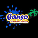 Ganso Complexo De Lazer Logo