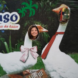 Ganso Complexo De Lazer Boisson