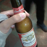 Boteko Cia Boisson