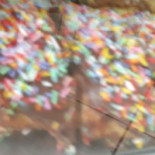 Bakery And Santa Clara Bebida