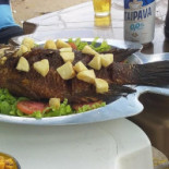 Do Peixe Nourriture