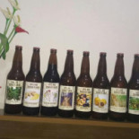 New Point Boisson