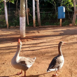 Pesqueiro E Morada Do Capiau Extérieur