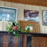 Brotto À l'intérieur