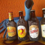Arara Azul Boisson