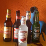 Arara Azul Boisson