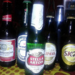 Arara Azul Boisson