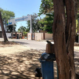 Capuxu outside