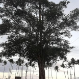 Varanda Dos Gemeos Exterior