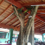 Pesqueiro Butinhao Extérieur