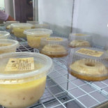 Jancy Gastronomia Saudável Boisson