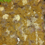 Cheiro Verde Comida