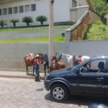Tropeiros Extérieur