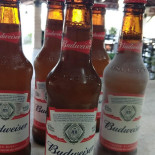 Quintais Bebida