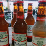 Quintais Bebida