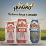 Borgert Pescados Boisson