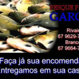 Pesque E Pague E Garcia Carte