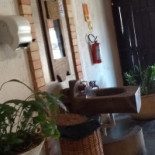 Fogão A Lenha Dentro