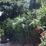 Tempero Da Serra Extérieur