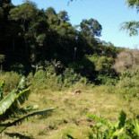 Tempero Da Serra Extérieur