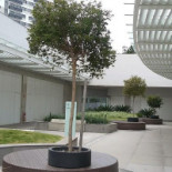 Carmelo Exterior